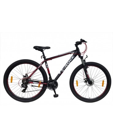 Mountainbike EX-7