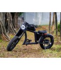 E-Bike Chopper X1P, 750 Watt, 42 km/h