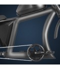 E-Bike Chopper X1P, 750 Watt, 42 km/h