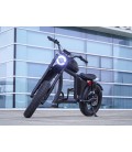 E-Bike Chopper X1P, 750 Watt, 42 km/h