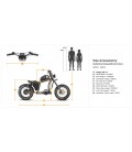 E-Bike Chopper X1P, 750 Watt, 42 km/h