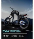 E-Bike Chopper X1P, 750 Watt, 42 km/h